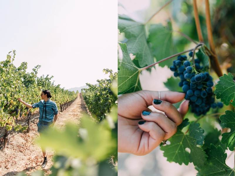 Beyond Napa and Sonoma: Wine Tasting in the South&nbsp;Bay